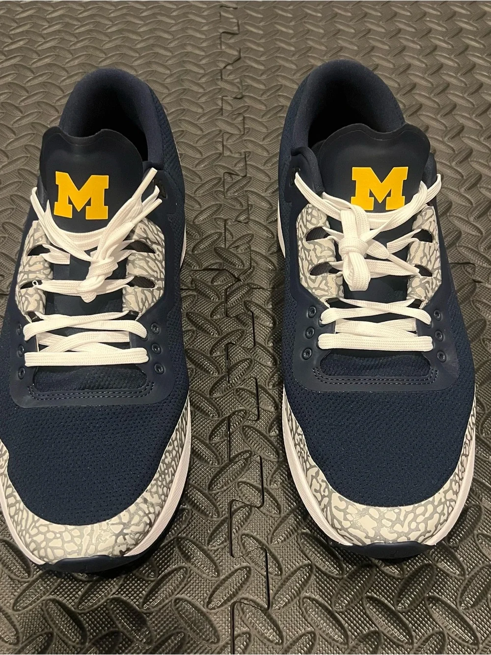 Nike Jordan Zoom Tenacity ‘88 ‘Michigan Wolverines PE’ IF2972-447 Size 15